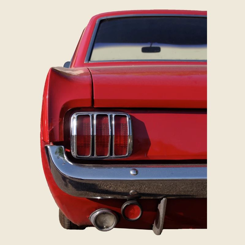 Sixties- back