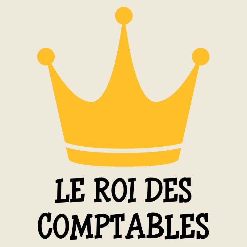 Accountant / Accounting / Comptable / Comptabilité