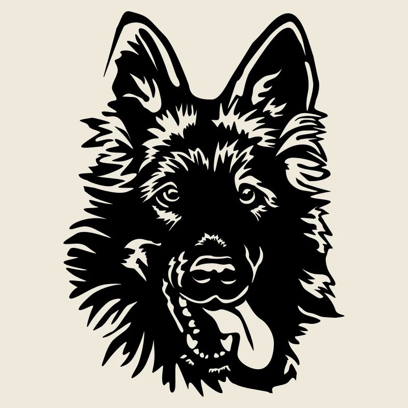 Deutscher Schäferhund Kopf