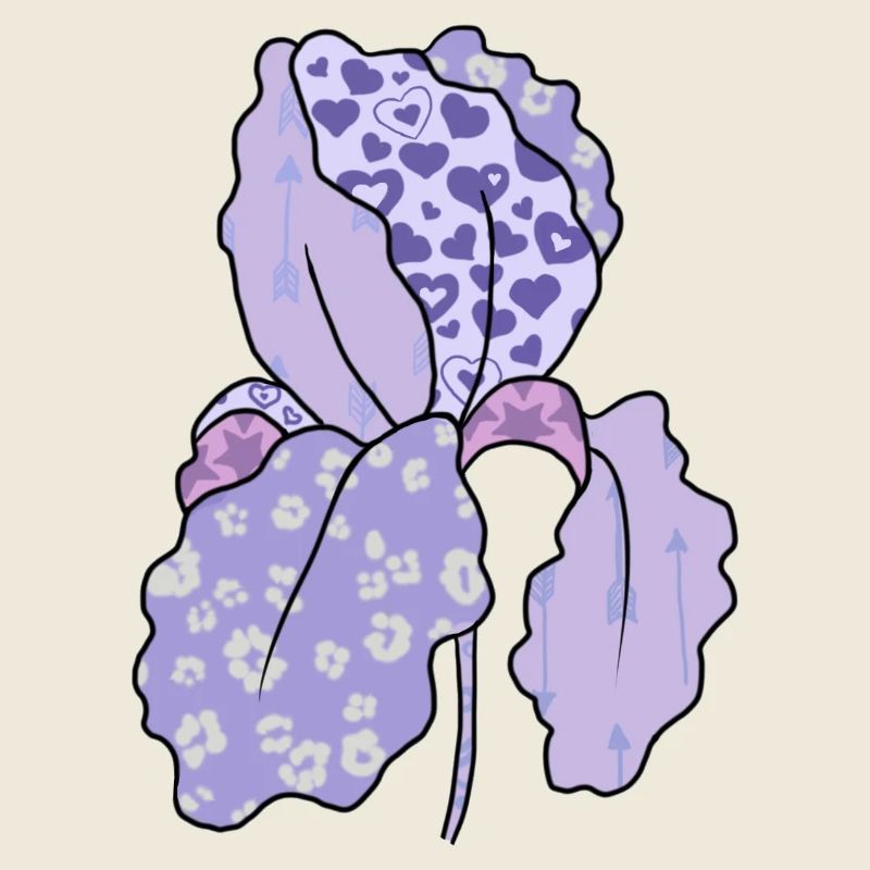 Bunte_Iris