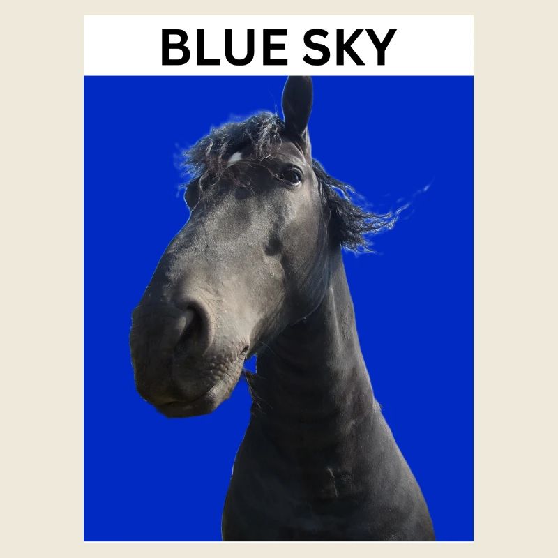 Ciel bleu et cheval