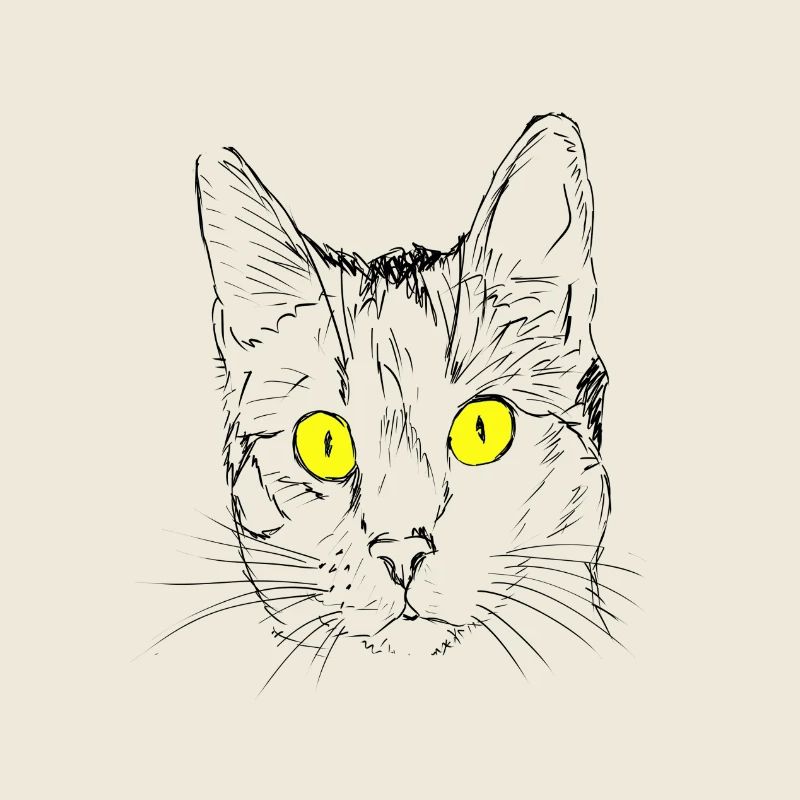 Chat, gueule de bois, amant de chat, tête de chat, oeil de chat