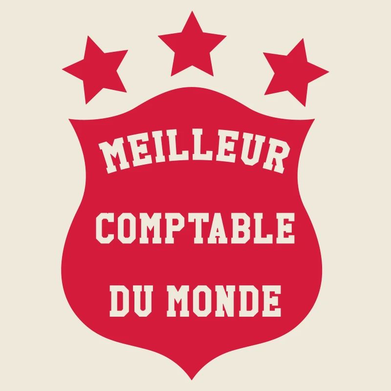 Accountant / Accounting / Comptable / Comptabilité