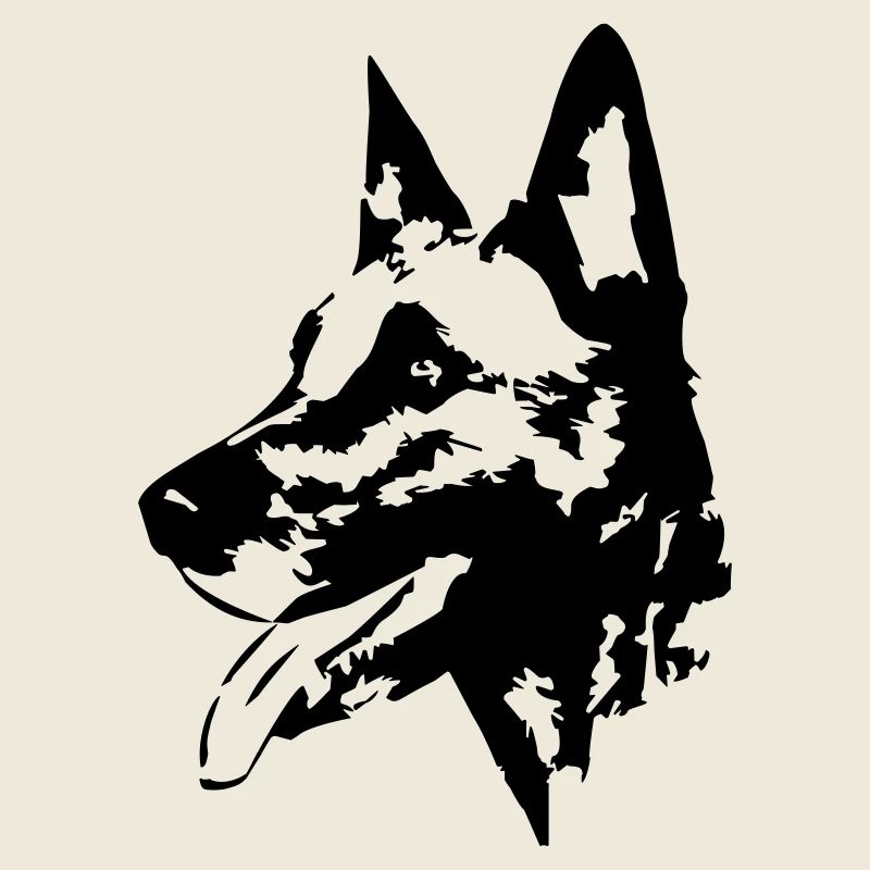 Tête malinoise