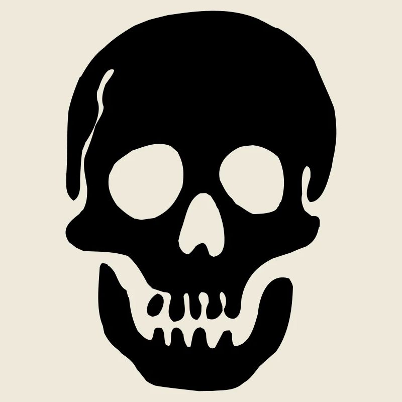 Pirate Skull Shadow Image Nice for a