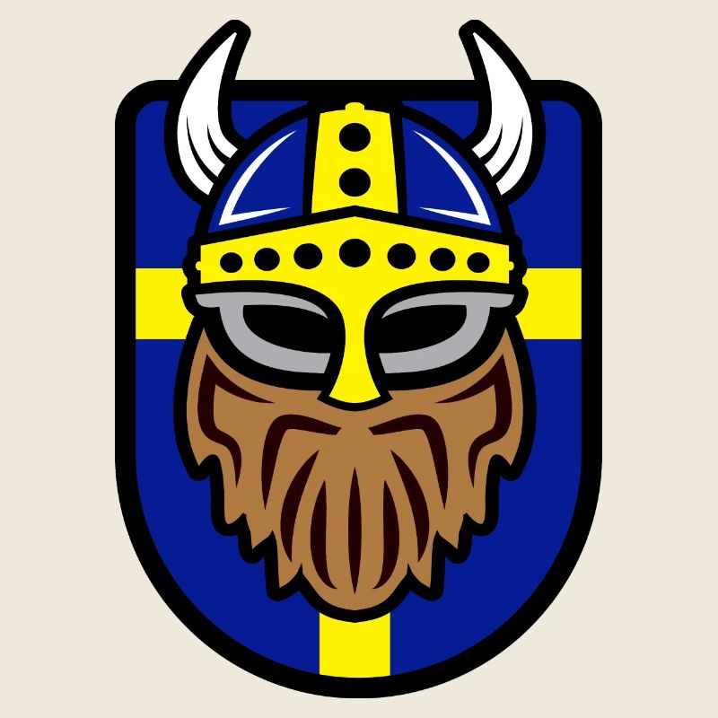 Vikings cool avec drapeau suédois