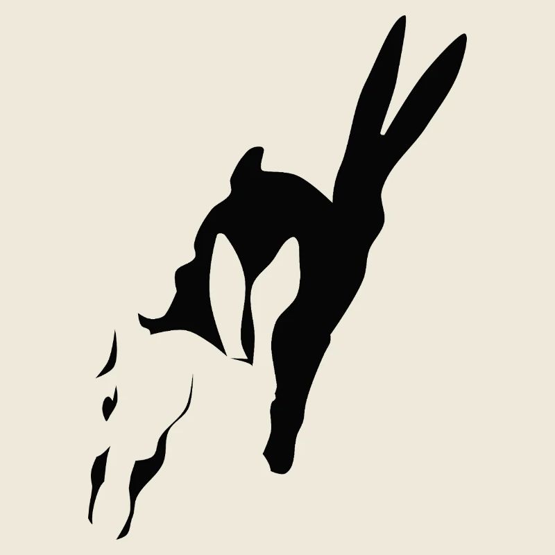 Bunny runs shadow bunny Easter bunny rabbit hop