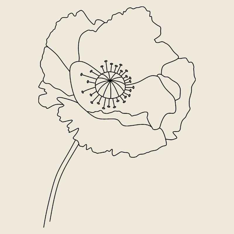Silhouette de fleur de pavot