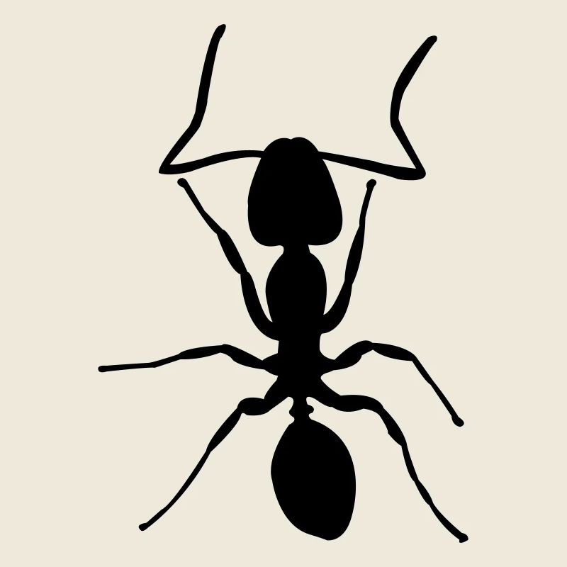 ant crawling