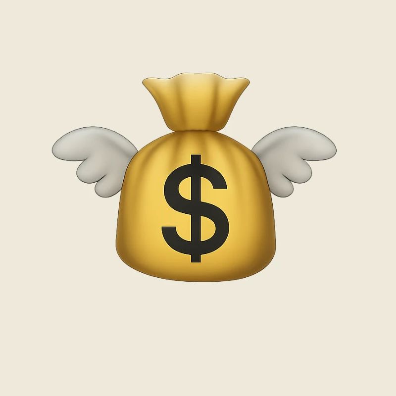 Geld fliege