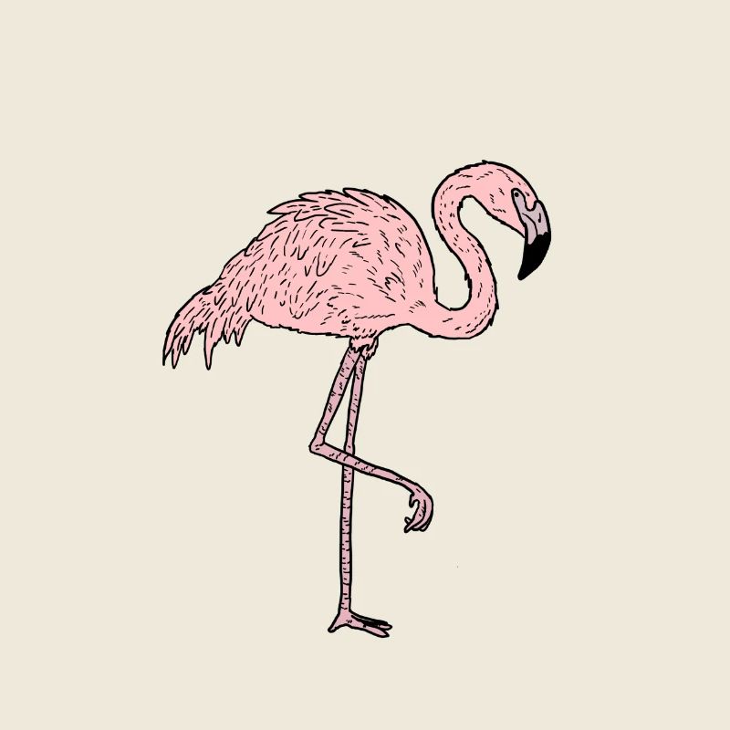 Flamingo - Comic Style