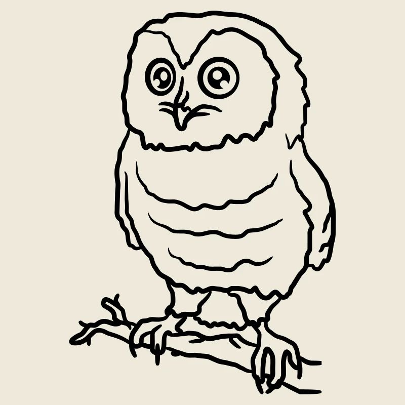 Schöne süße Eule auf einem Ast