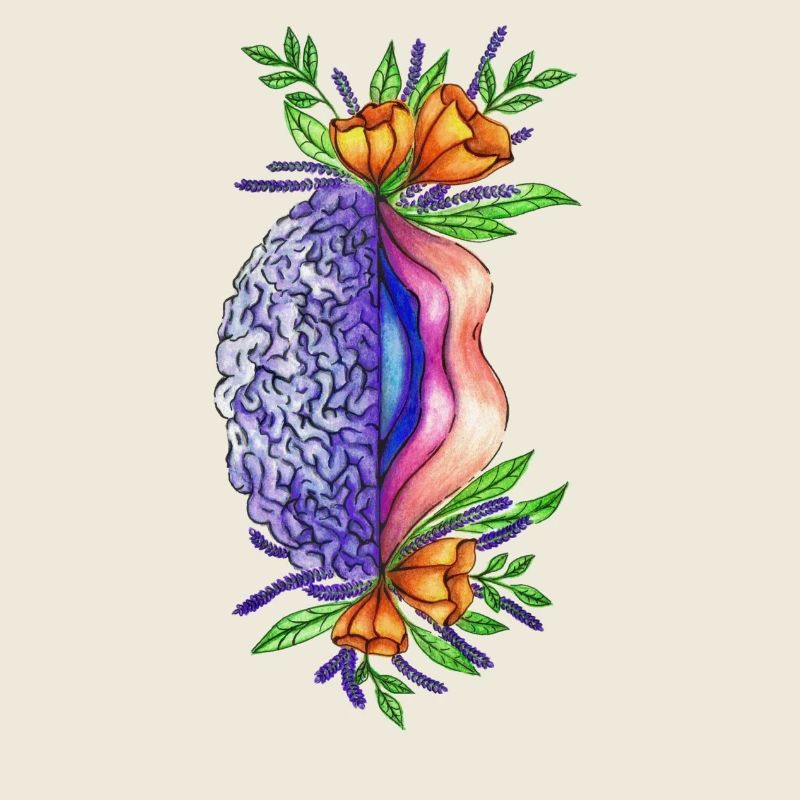 Vulva Brain