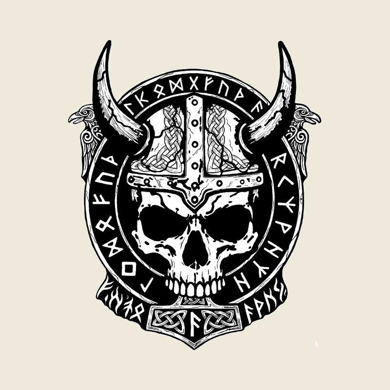 Viking skull on a shield
