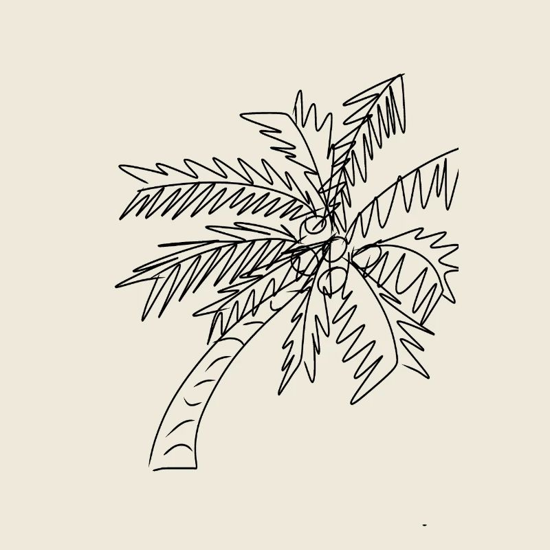 Coconut Palm