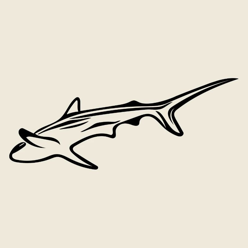 Requin élégant dans le courant de dérive