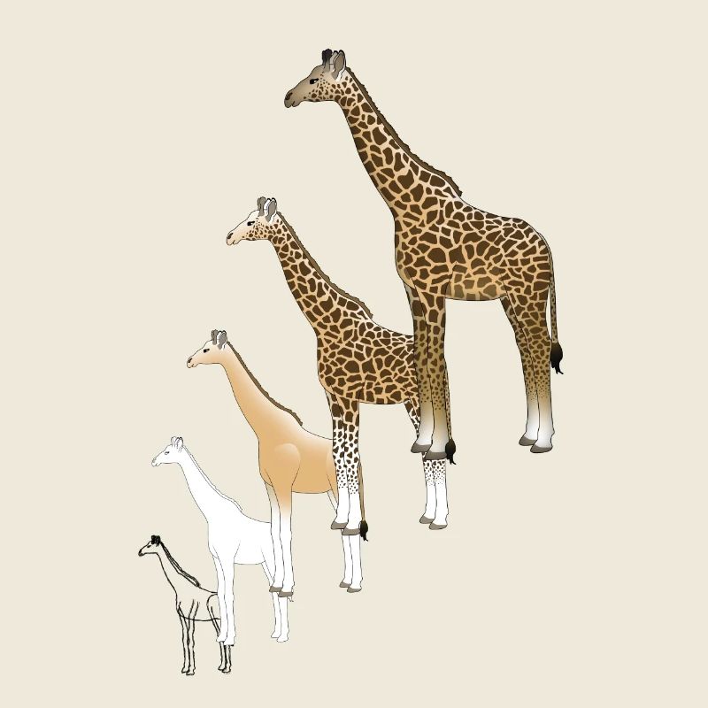 Giraffe drawing
