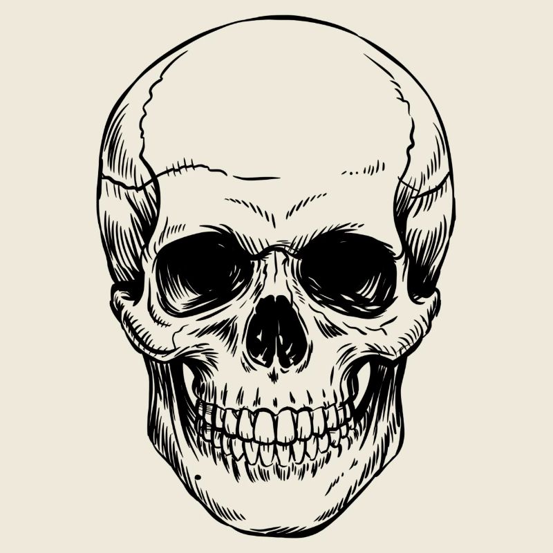 Skull