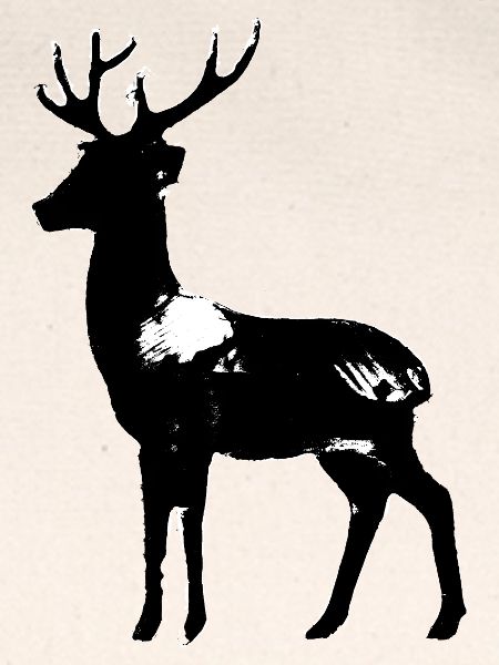 Hirsch 