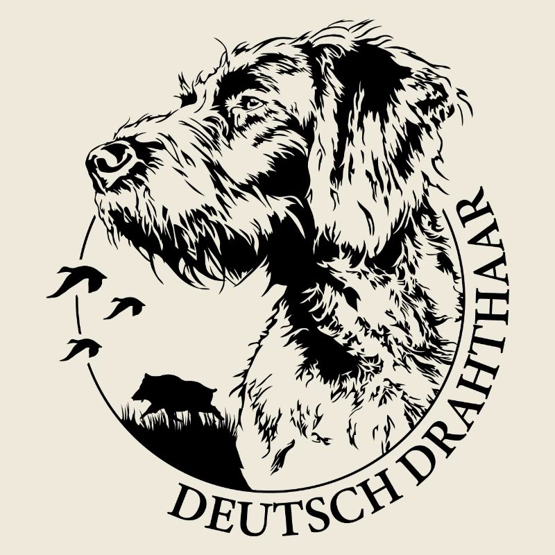DEUTSCH DRAHTHAAR Wilsigns Jagdhund Jagdhunde