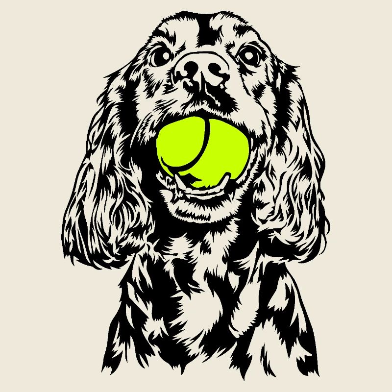 Cocker Spaniel Hunde Hund Wilsigns