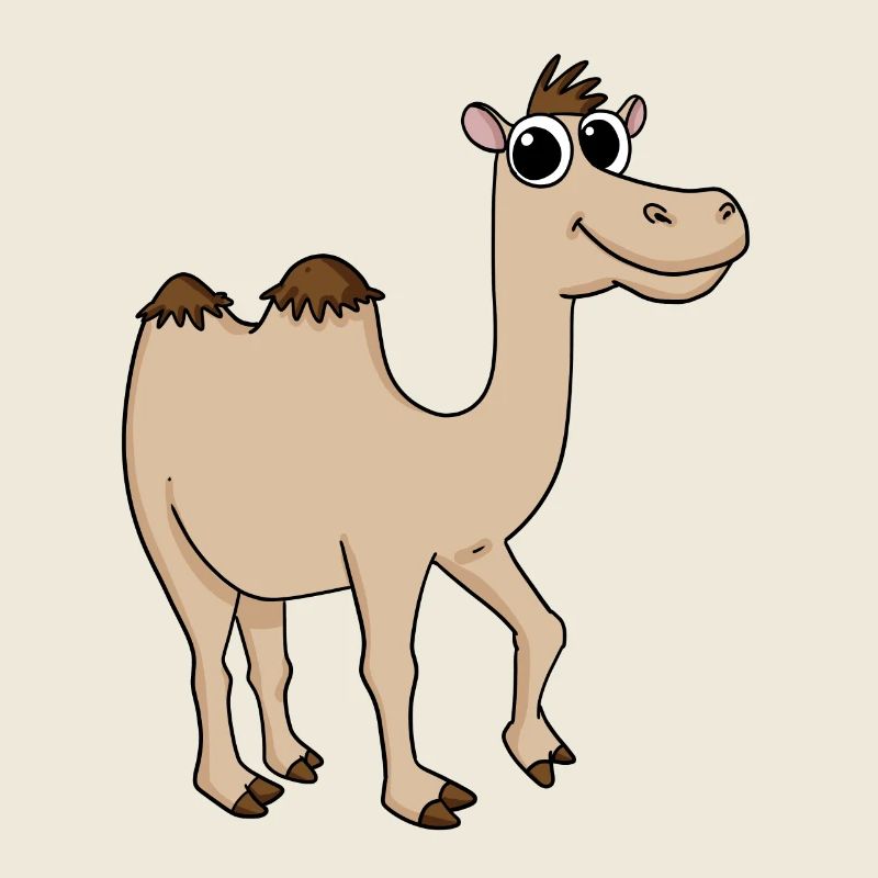 Cute camel