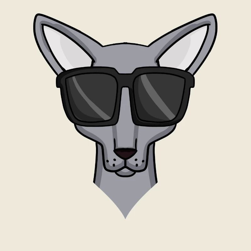 Sphynx Katze mit Sonnenbrille