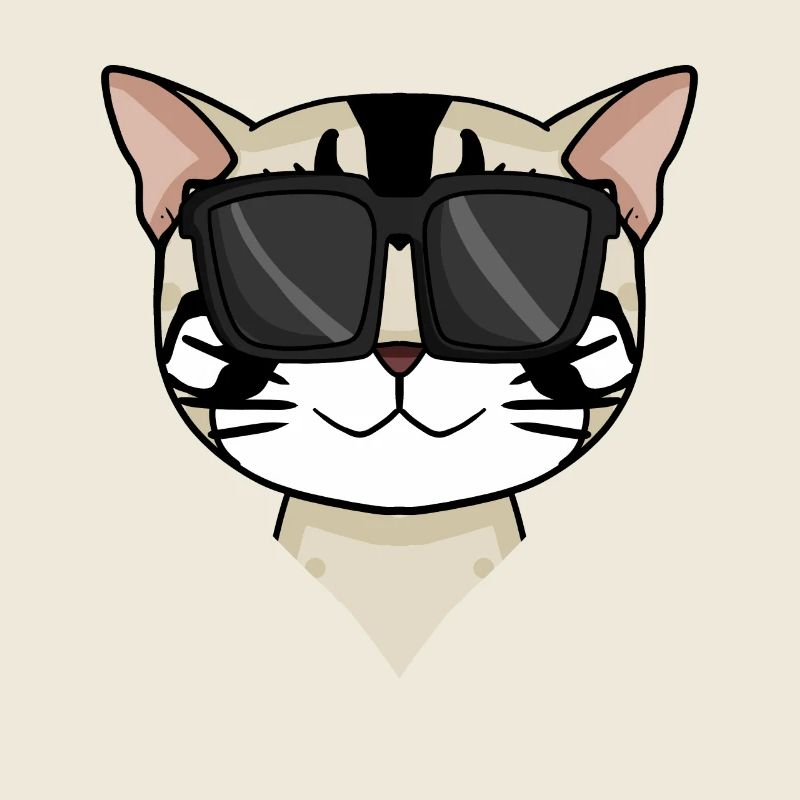 American Shorthair Cat avec lunettes de soleil