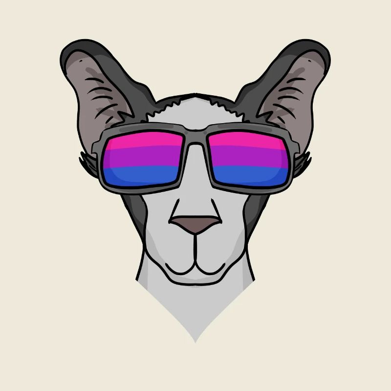 Bisexuell Orientalisch Kurzhaar Katze Geschenk