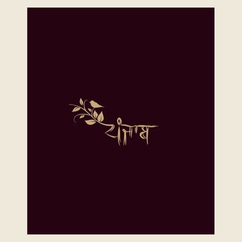 Punajb