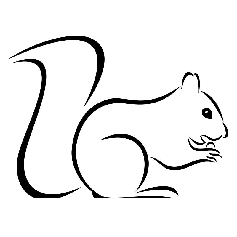 Eichhörnchen