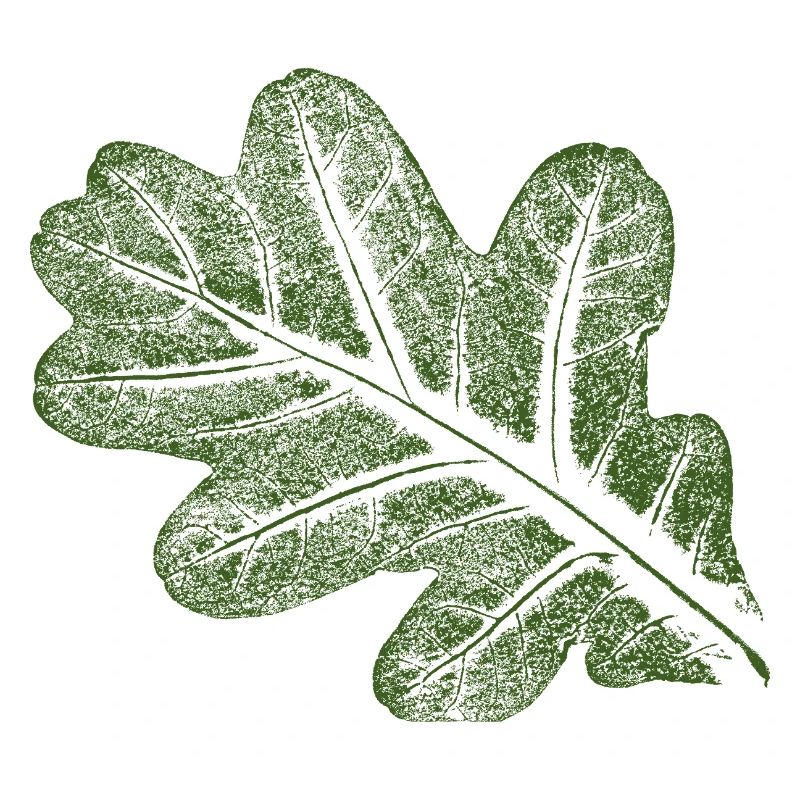Oak leaf