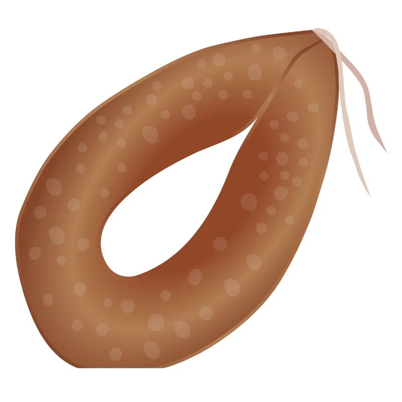 Ringwurst