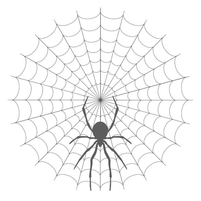 Spider Web Silhouette