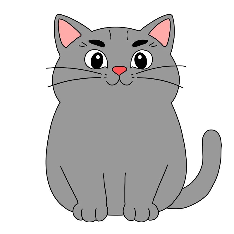 Graue Katze