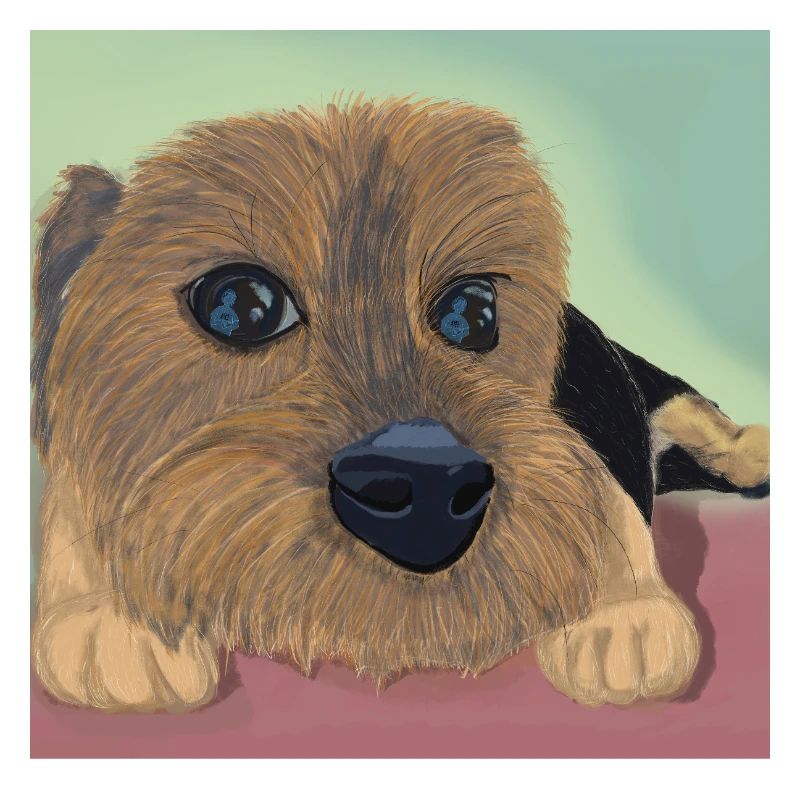 Hundeaugen oder Liebesreflex