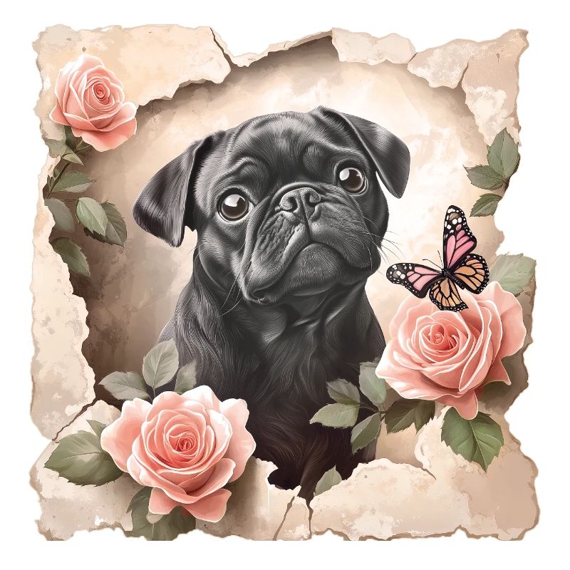 Mops mit Schmetterling