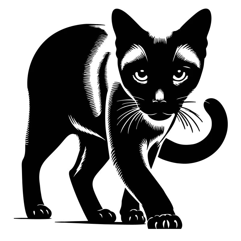 Siamkatze
