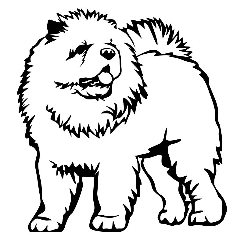 Chow Chow