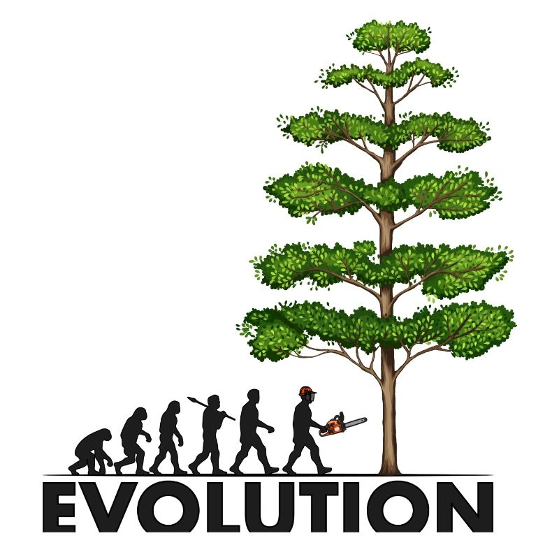 Tronçonneuse Evolution Grey Big Tree