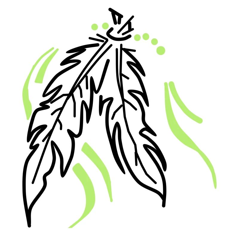 Feathers tied together
