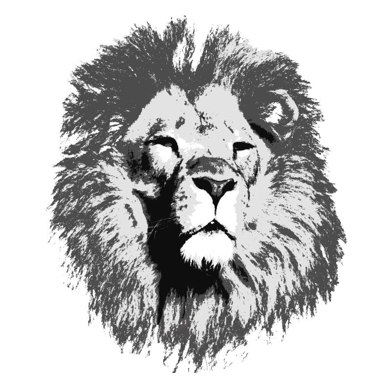 Loewe big cat