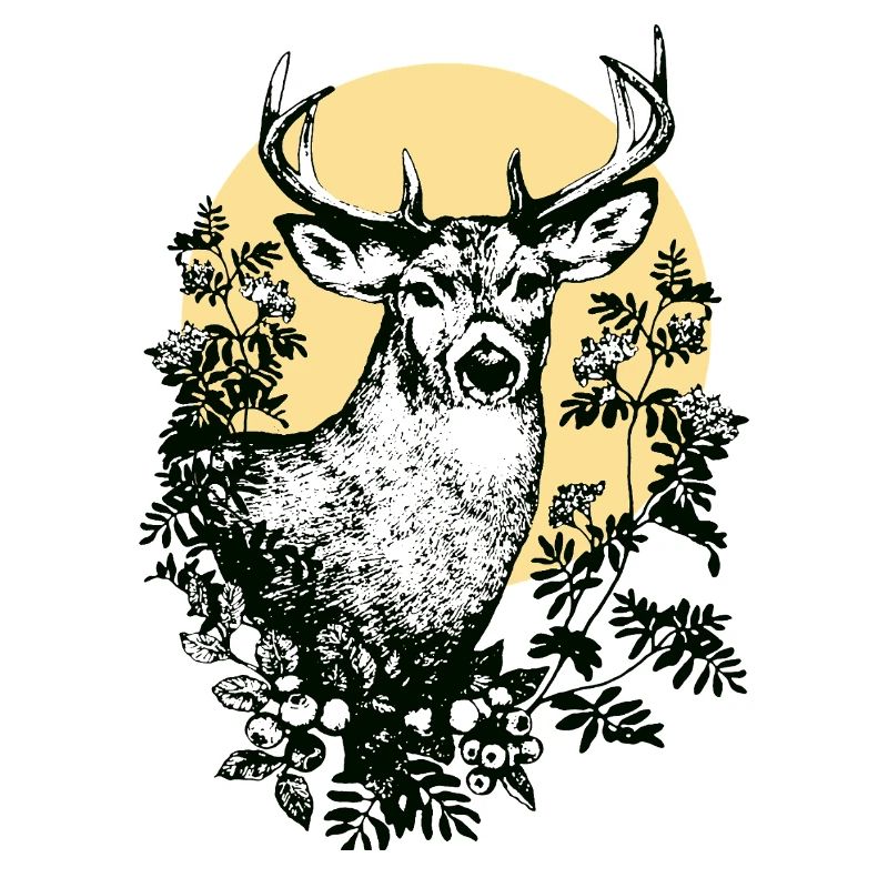 Hirsch