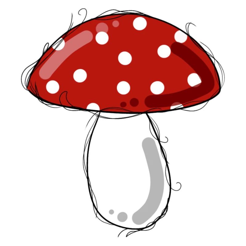 Fly agaric