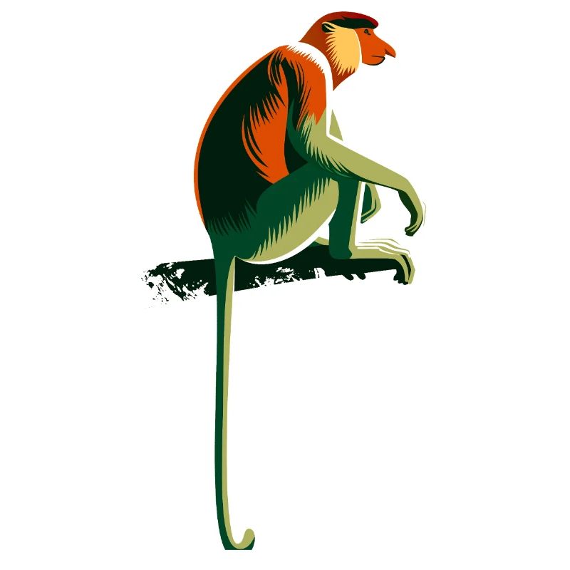 Proboscis monkey