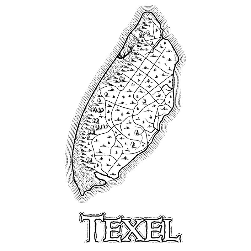 Texel | Antique map | Treasure map