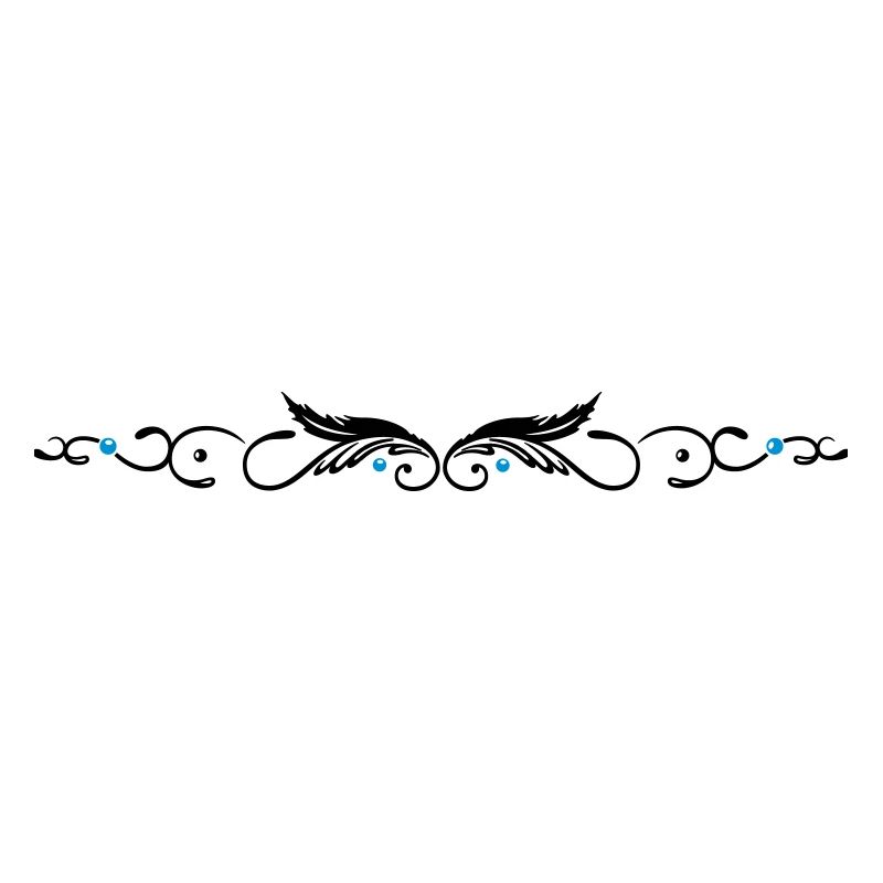 Ornament with two feathers, indian style.