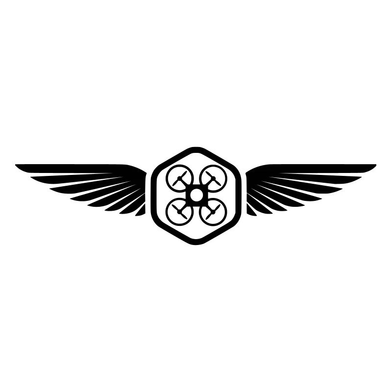 UAV PILOT
