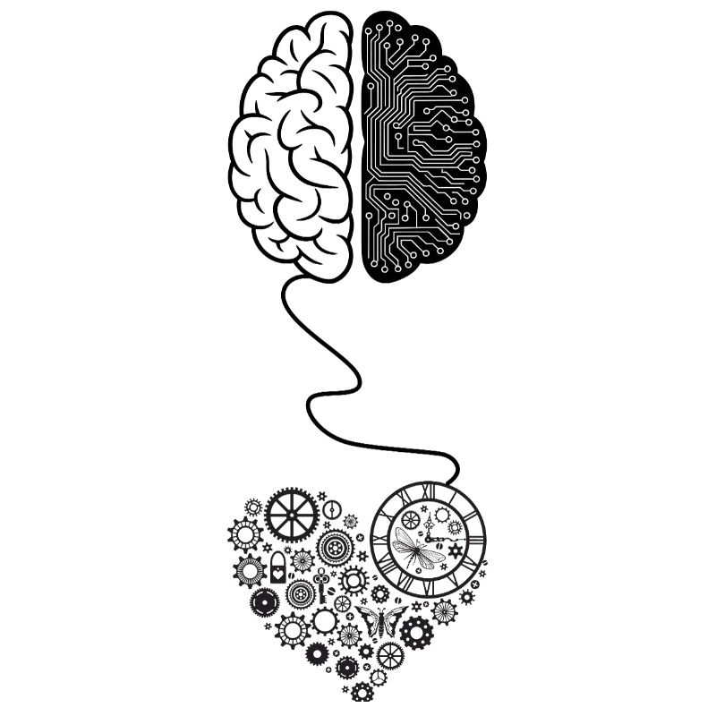 Biomechanical Brain Circuit Design