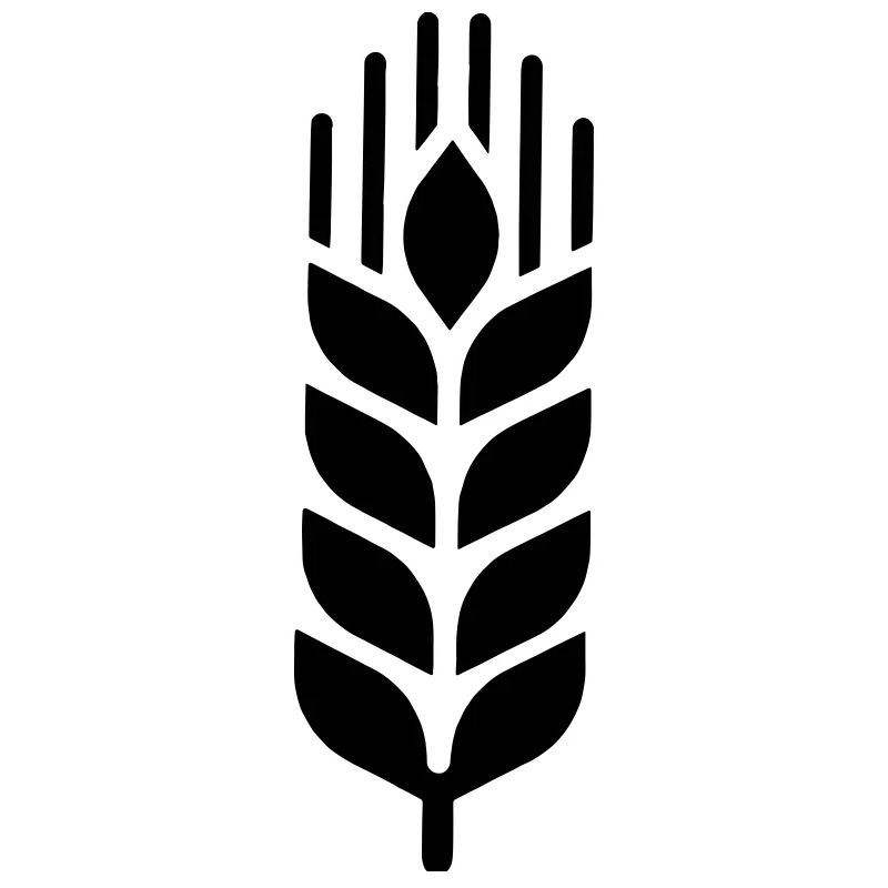 Barley